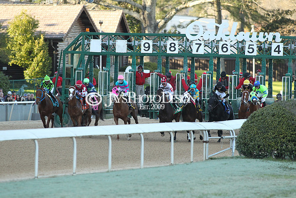 z190316_EssexStakes_Manning_0161