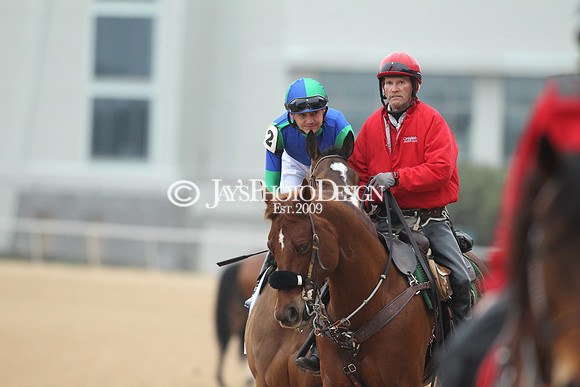 z200217_SouthwestStakesDay_Manning_0409