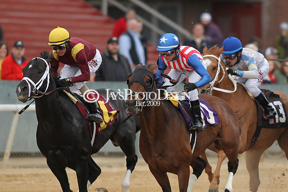 z190218_SouthwestStakesDay_Manning_740