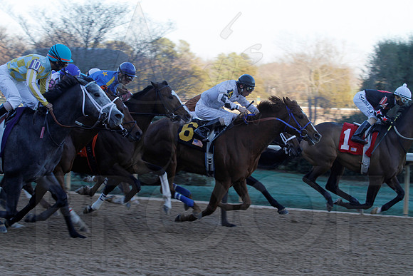 Smarty Jones Stakes 01-20-14 (©Justin Manning) JWM_0405