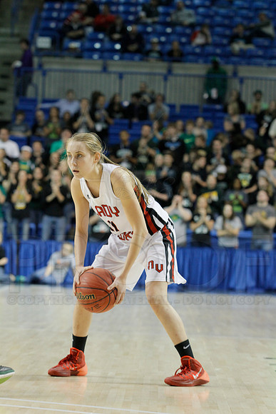 1A Girls State Finals-Nemo Vista vs. Wonderview 3-14-2014 (© Justin Manning) JWM_0273