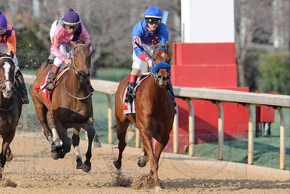 Honeybee Stakes (Grade III) 3-8-2014 (© Justin Manning) JWM_1408