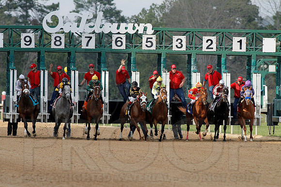 The 26th Running of The Honeybee 3-9-13 JWM0155 (©Justin Manning)