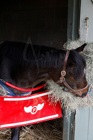Oaklawn 1-13-13 (Justin Manning)0016