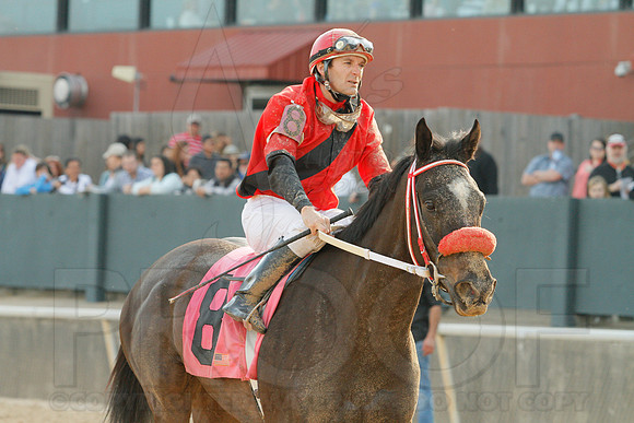Honeybee Stakes (Grade III) 3-8-2014 (© Justin Manning) JWM_0309